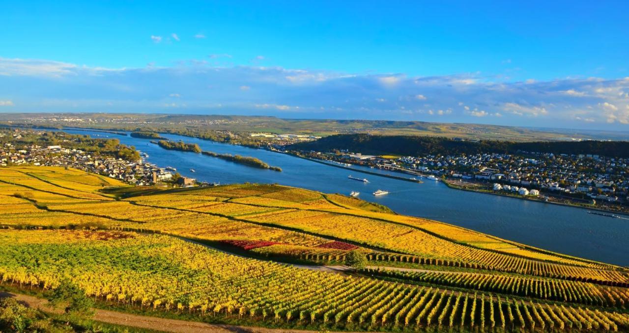 Hotel Kronenschloesschen Eltville am Rhein Kültér fotó