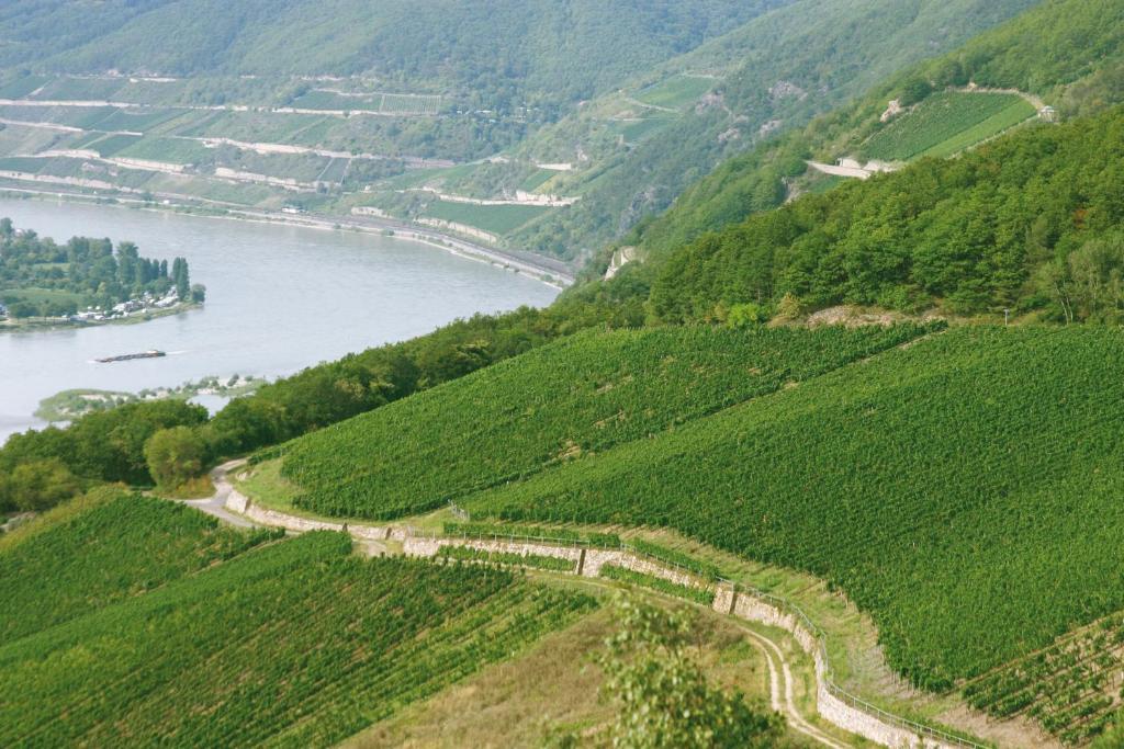 Hotel Kronenschloesschen Eltville am Rhein Kültér fotó